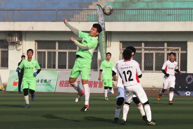 申花球迷早就习惯了 祝愿马莱莱持续在中超发光发热